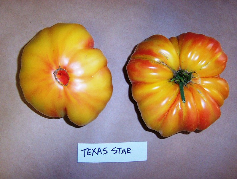 Texas Star