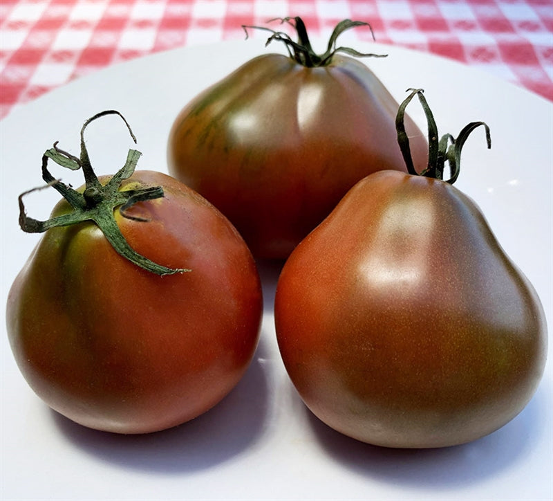 Japanese Black Trifele