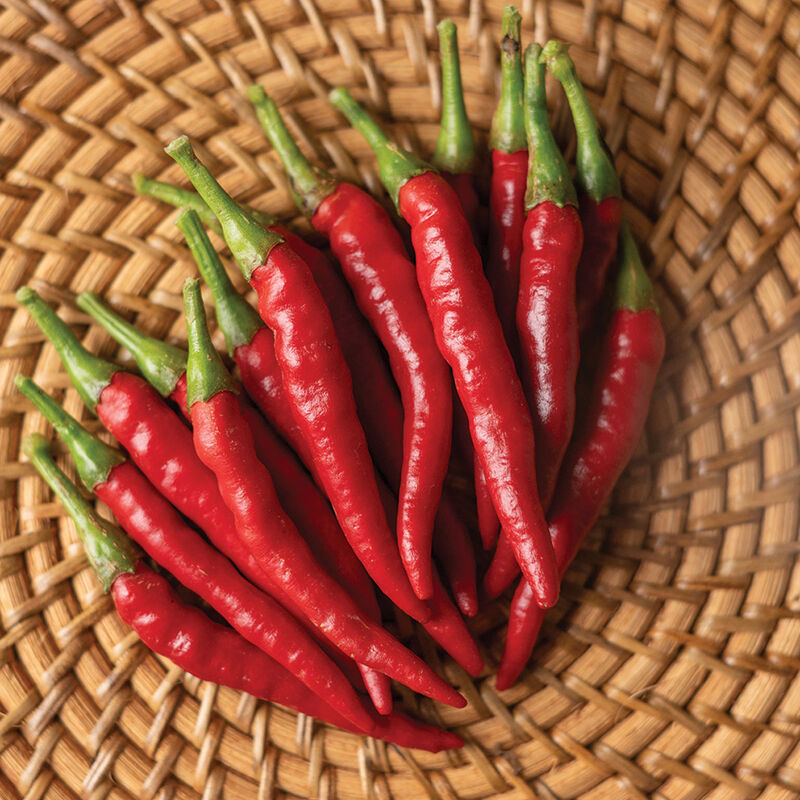 Thai Pepper