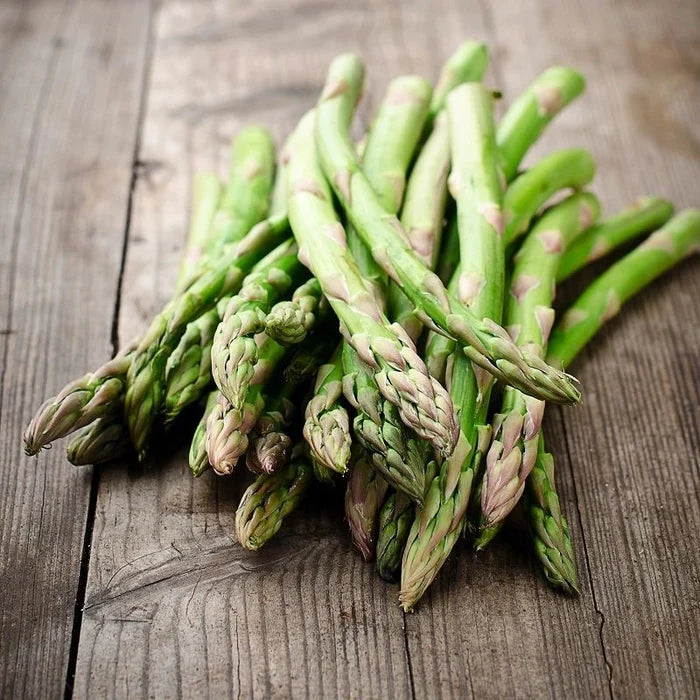 Asparagus, Mary Washington