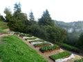Class: Winter Vegetable Gardening